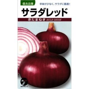 トップゴールド305 タマネギ 種子 タカヤマシード 2dl 1缶 たね タカヤマシード タマネギ 玉葱 トップゴールド305 小袋