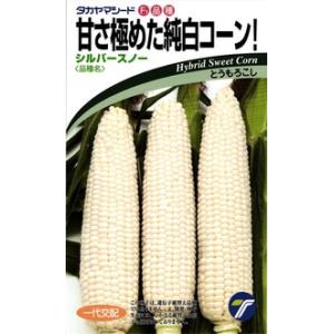 タキイ種苗 スイートコーン おひさまコーン88 2000粒 : 種苗・園芸