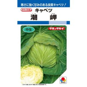 タキイ種苗 キャベツ 潮岬 DF