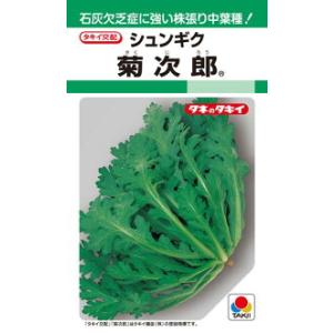 タキイ種苗 シュンギク 春菊 菊次郎 1dl