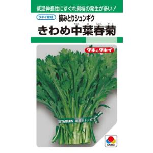 タキイ種苗 シュンギク 春菊 きわめ中葉春菊 MF