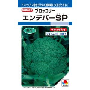 おはよう ブロッコリー種子 5000粒 【野菜種子】 【サカタのタネ