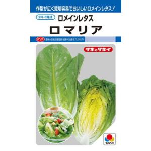 タキイ種苗 レタス ヒートガイ ペレット5000粒 : 種苗・園芸ショップ