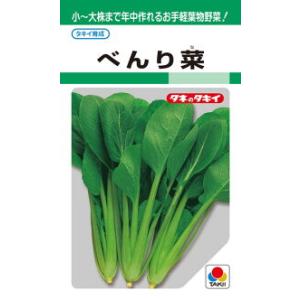 タキイ種苗 レタス ヒートガイ ペレット5000粒 : 種苗・園芸ショップ