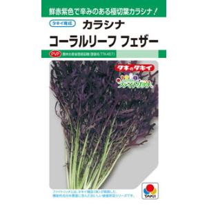 タキイ種苗 葉菜 コーラルリーフ　フェザー 20ml　PVP