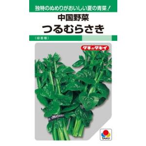 タキイ種苗 中国野菜 つるむらさき（緑茎種）MF