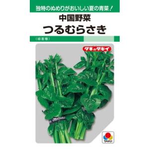 タキイ種苗 中国野菜 つるむらさき（緑茎種）GF