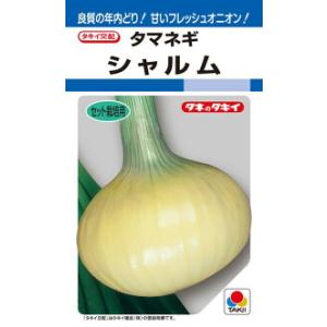 タキイ種苗 タマネギ 玉葱 シャルム DFの商品画像