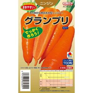 野菜種子 タマネギ 玉ねぎ種子 もみじ3号 4ml 【七宝種苗】【作り