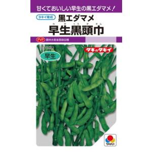 ヒートガイ レタスの種子 コート5000粒×3個 タキイ種苗 レタス ヒートガイ ペレット5000粒 : 種苗・園芸ショップ