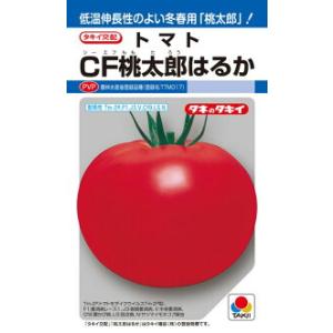トマト種子】タキイ交配 桃太郎みなみ（ももたろうみなみ）TTM-170