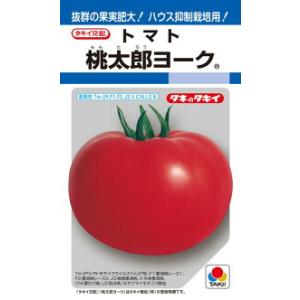 タキイ種苗 トマト 桃太郎ヨーク DF