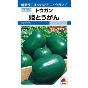 タキイ種苗 トウガン 冬瓜 姫とうがん DF