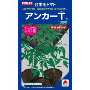 タキイ種苗 台木 トマト用 アンカーT ペレット 2L1000粒