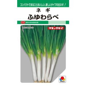 トキタ種苗 葱 ねぎ ネギ 陽春の宴（TSX-662）コート 5000粒