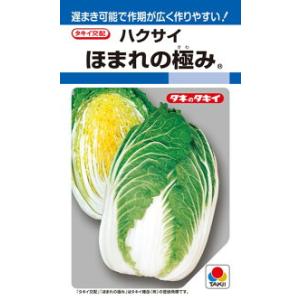 タキイ種苗 ハクサイ 白菜 ほまれの極み DF