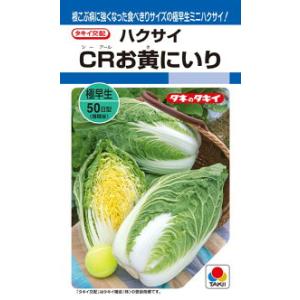 タキイ種苗 ハクサイ 白菜 CRお黄にいり 20ml