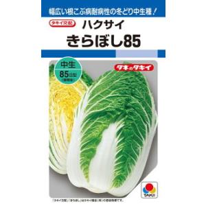 きゃべつ様 山陽種苗 キャベツ 甘藍 きゃべつ エンペラー 2000粒 : 種苗・園芸