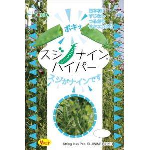 トキタ種苗 ネギ 森の奏で コート 5000粒 : 種苗・園芸ショップ 種もり