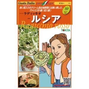 タキイ種苗 レタス ヒートガイ ペレット5000粒 : 種苗・園芸ショップ