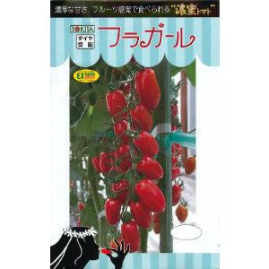 トマト ミニトマト TYドルチェレッド｜WEBカタログ｜未来アグリス株式会社