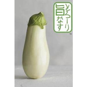 トキタ種苗 茄子 とろーり旨なす(揚げてトルコナス )