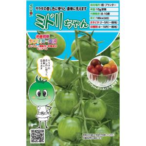ミドリちゃん トキタ種苗のミニトマト品種 : GREEN DEPOヤフー店