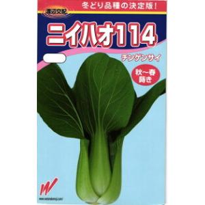 渡辺農事 チンゲンサイ 青梗菜 ニイハオ114 5000粒