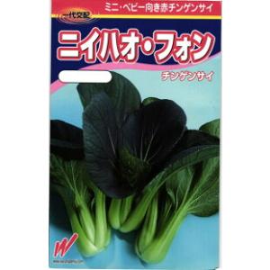 ヒートガイ レタスの種子 コート5000粒×3個 タキイ種苗 レタス ヒートガイ ペレット5000粒 : 種苗・園芸ショップ