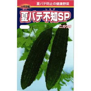 渡辺農事 ニガウリ ゴーヤ 夏バテ不知SP 小袋の商品画像