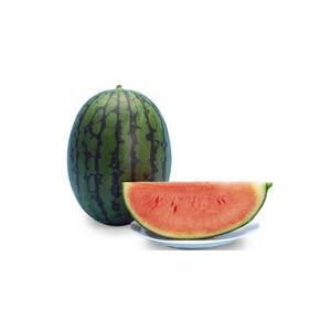 八江農芸 スイカ すいか 西瓜 麗春 200粒 : 種苗・園芸ショップ 種もり