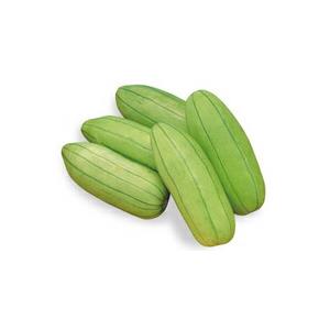 八江農芸 ウリ うり 瓜 長崎漬瓜 小袋 : 種苗・園芸ショップ 種もり