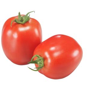 たね 大和農園 トマト なつのこま　小袋