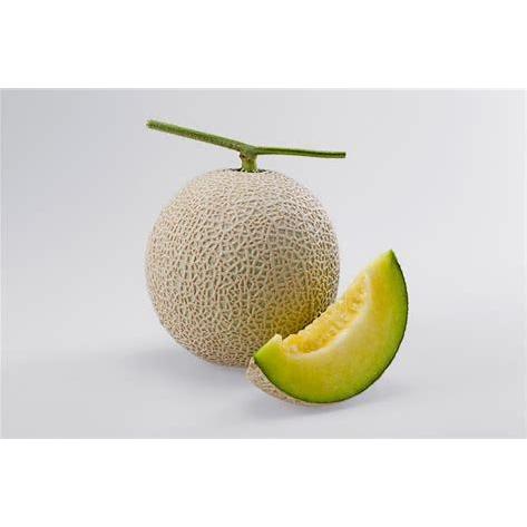 たね 横浜植木  メロン　雅 夏214　100粒