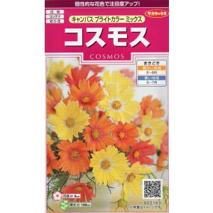 種子 コスモス キャンパスブライトカラーミックス サカタのタネ Hanatane 285 Gardener S Shop Ivy 通販 Yahoo ショッピング