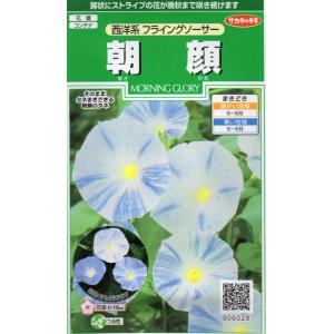 西洋朝顔 種の商品一覧 通販 Yahoo ショッピング