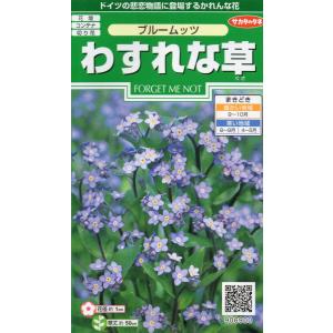 00906900 わすれな草　ブルームッツ　小袋　0.2ml入り　郵便発送商品 ブルームッツ わすれな草 サカタのタネ