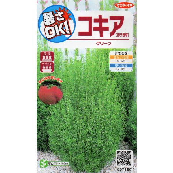 コキア　グリーン　小袋　0.2ml入り　郵便発送商品