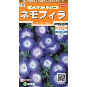 ネモフィラ　インシグニスブルー　小袋　0.5ml入り　郵便発送商品