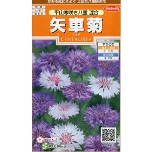 矢車草 苗 花の種 の商品一覧 種 種子 花 ガーデニング 通販 Yahoo ショッピング