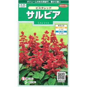 サルビア　ビスタレッド　小袋　25粒入り　郵便発送商品｜tanenonozaki