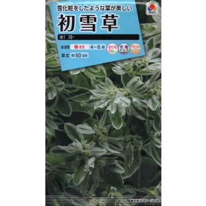 初雪草　氷河　小袋　2.5ml入り 4種便対応商品