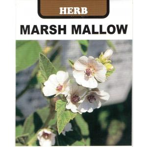マシュマロ 花 ガーデニング の商品一覧 通販 Yahoo ショッピング