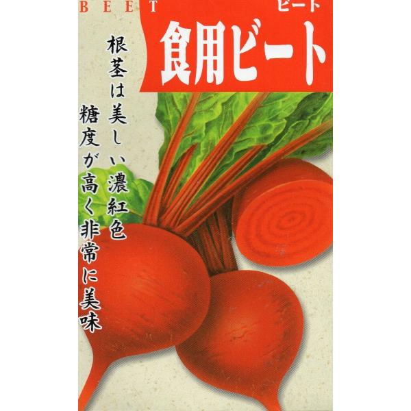 ビーツ　デトロイトダークレット　小袋　1dl入り　郵便発送商品