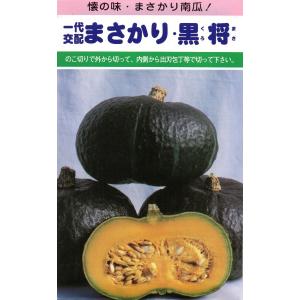 カボチャ　まさかり黒将　小袋 　10粒入り　　郵便発送商品｜tanenonozaki