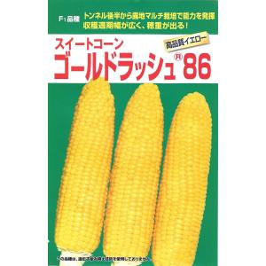 トウモロコシ　ゴールドラッシュ86　200粒 　郵便発送商品
