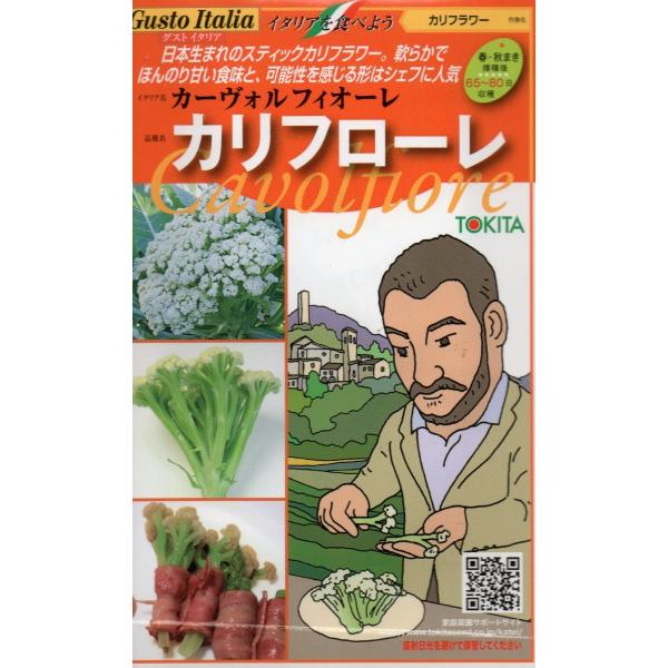 カリフラワー　カリフローレ　小袋  50粒入り　郵便発送商品