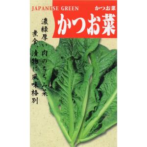かつお菜　小袋　6ml入り　郵便発送商品