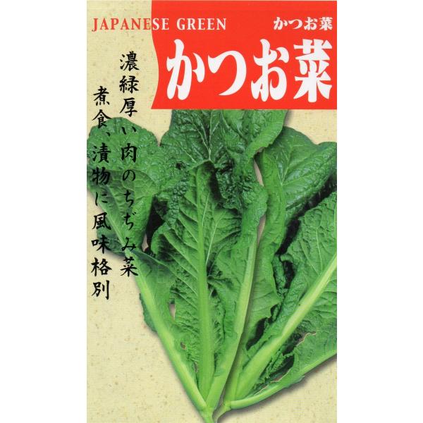 かつお菜　小袋　6ml入り　郵便発送商品