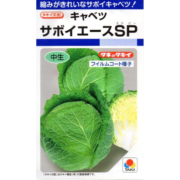 キャベツ　サボイエースSP　小袋　160粒入り　郵便発送商品